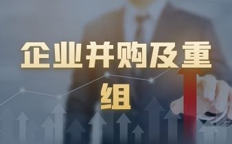 企业并购及重组